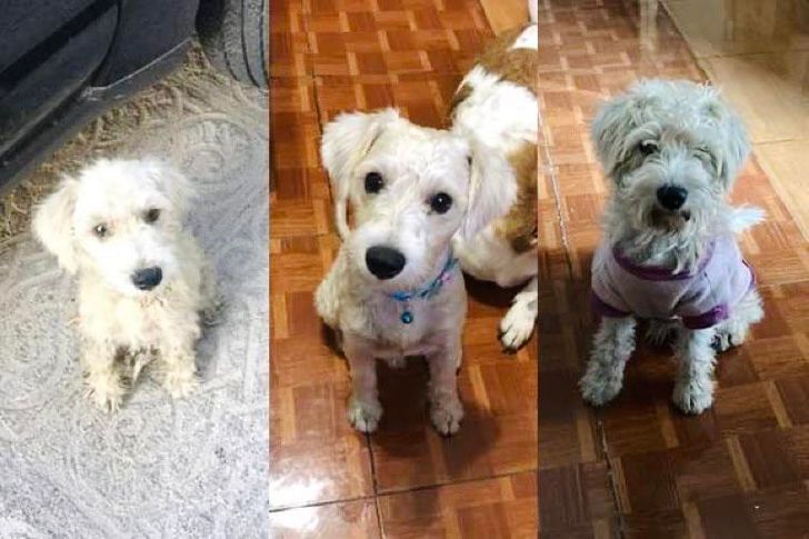 9a99b55ccb95a73d8180b577b9