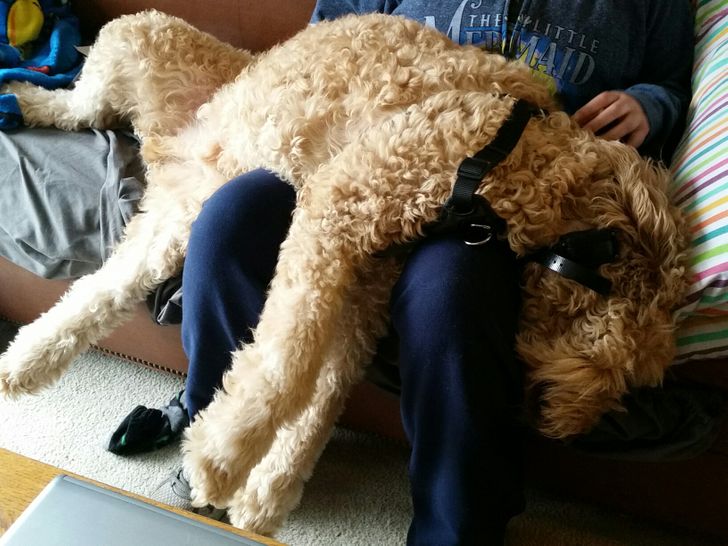 9aa0cd5ab99aca3cf706681c6f