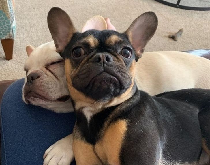 9aa28a52a8b46321b124de5eb4