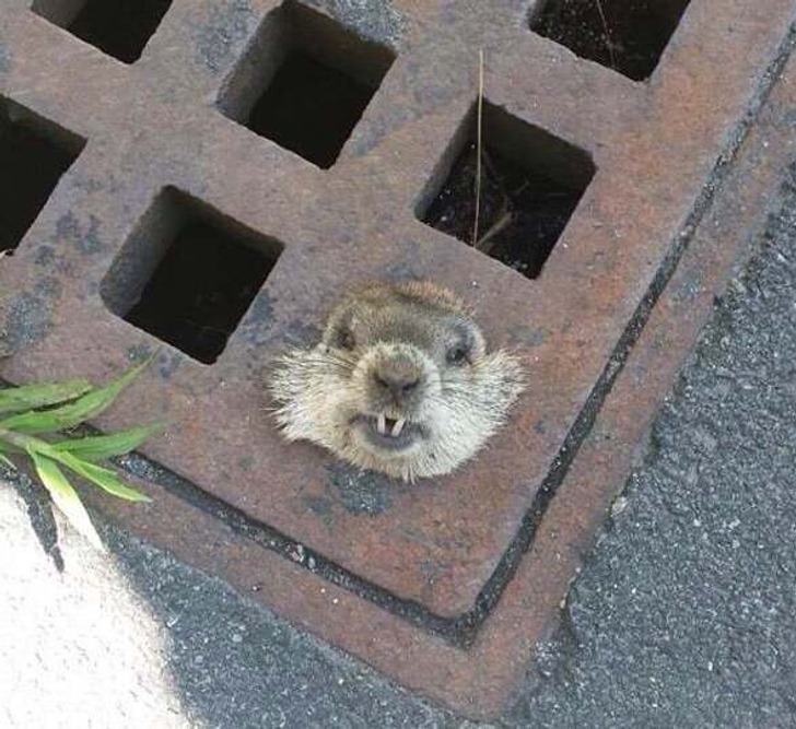 9aa9da5845940e5a7868186da3 9aa9da5845940e5a7868186da3