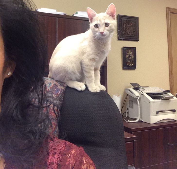 9aab515a4382d4165d8f193211