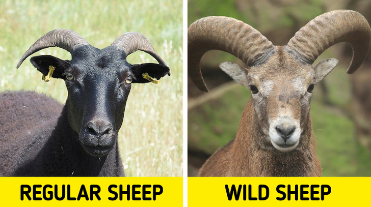 9aaba857bd8ac29c9e132004f0