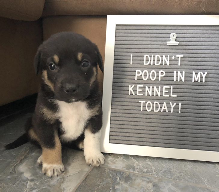 9ab1b5549c87d1ac8f05b87334