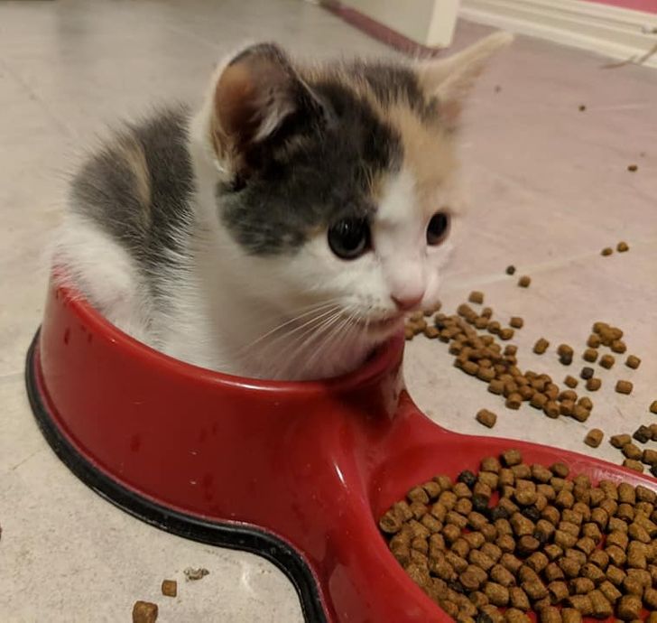 9ab9c159f79fb0ba4ccccc91f6