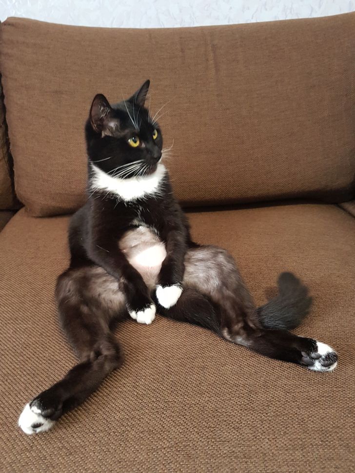 9abcf0544e9a86fbae371a7ae4