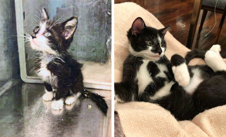 9ac87353ee9d47db58395fc8b2