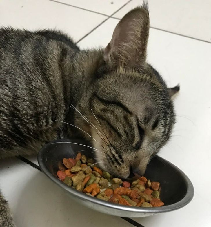 9acb2850f58c33ff8184a88cc1