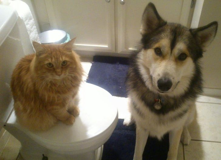 9ae32350e6abe47e4ea6b3897c