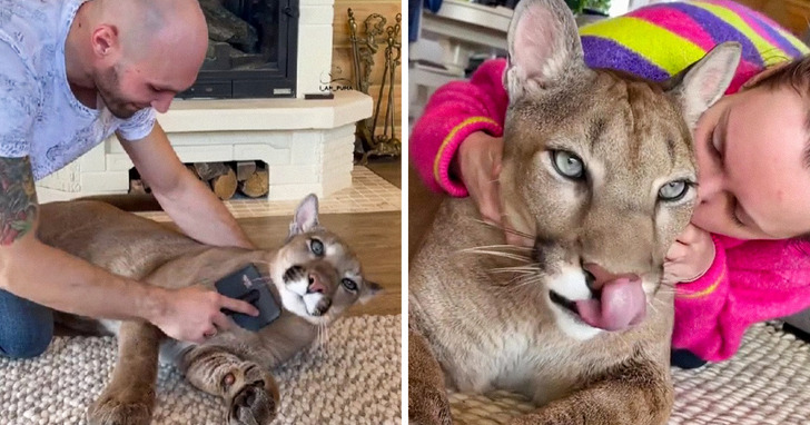 9ae7e7583ca276f1b4211e9b22