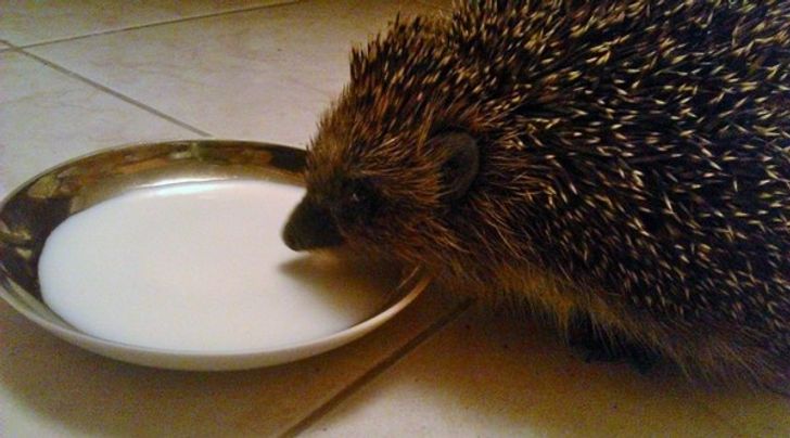 9aeb7d57e4baee7a56e6e6609a