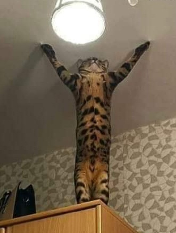 9aee715208b858356c64e671a4