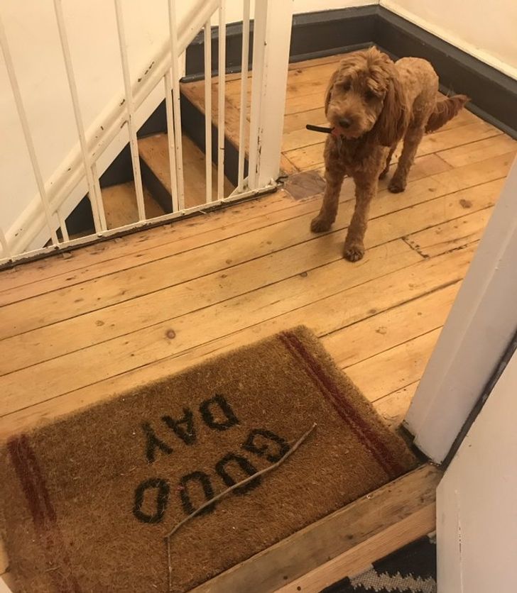 9aeefc5c3991b83c496e81f67d