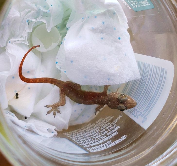 9af7965e218fc30cd5bc0a2e86