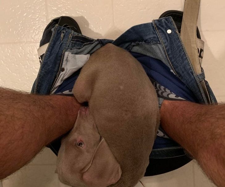 9afb1c5d838fe7121c4b7d00ff