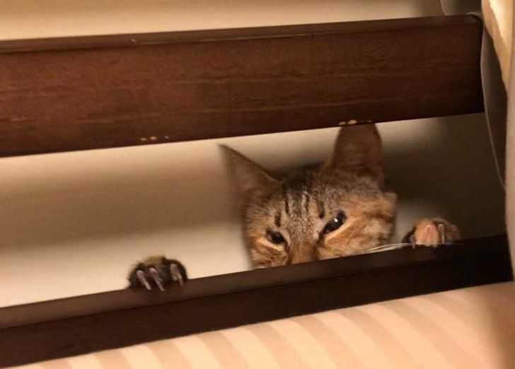 9afca35caf8fc2b85bdb7c4d02