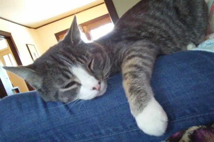 9afda75cc1aa9476838deed90f