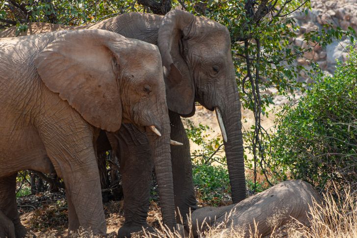 9aff93564ea765cf8b1b07fd5e