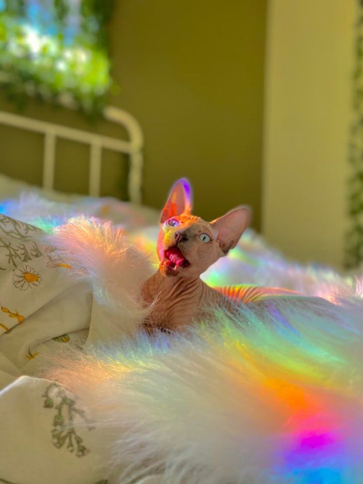 9b08095b6a84d90029e22c0d92