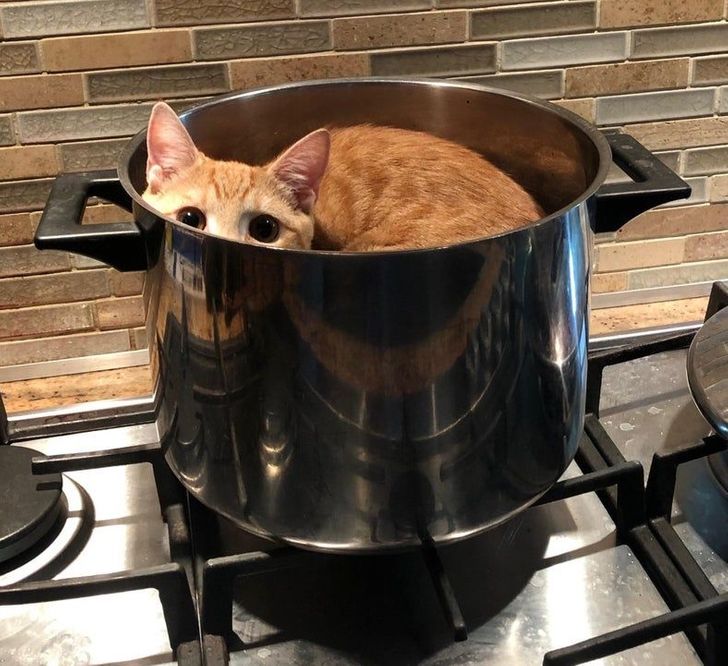 9b0ccc5ee4bf976b359eb0fcc1