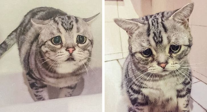 9b0ea458b0a3770cb3efc3cbc7