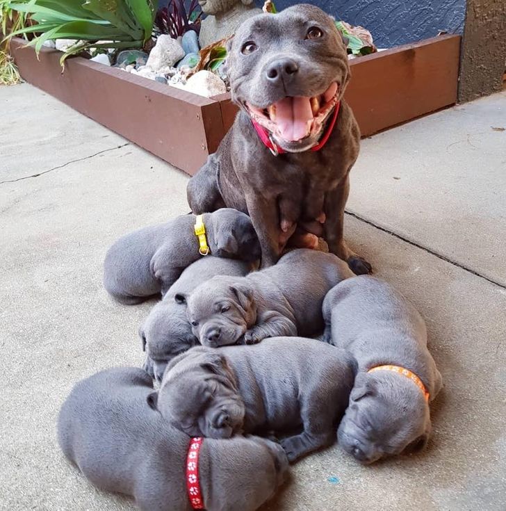 9b213055b68e76d06c28a2517c