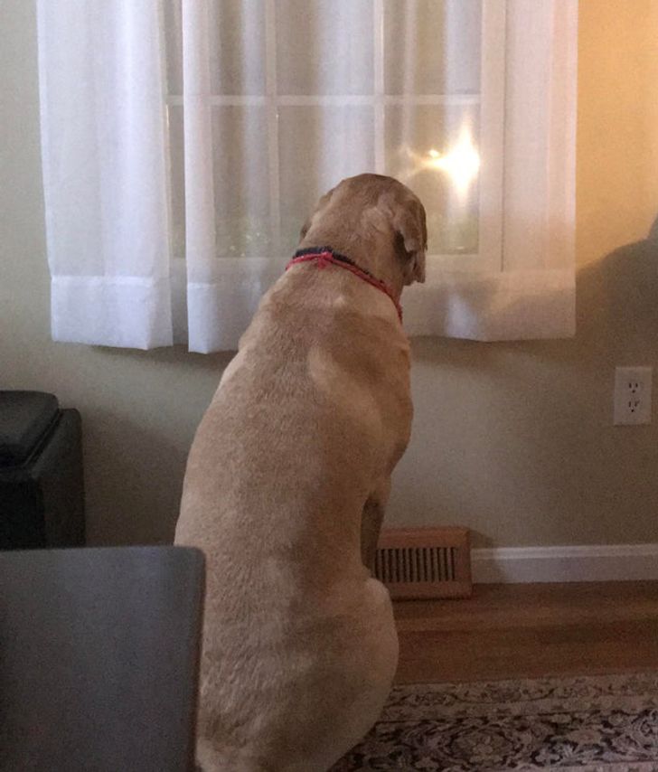 9b2b865ecaa970646f82e8d420