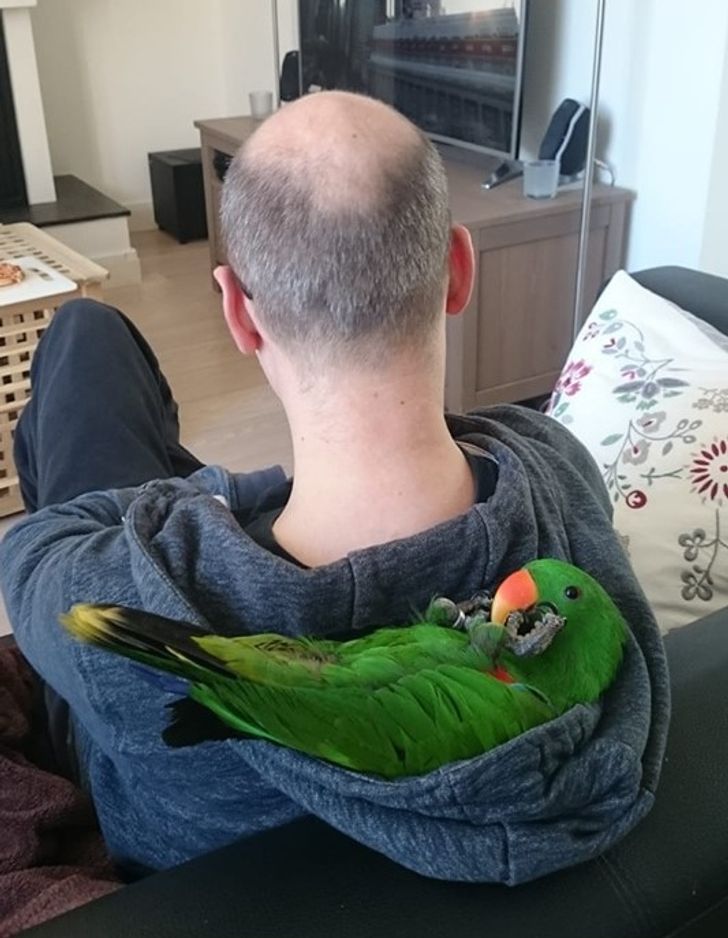 9b2c6557a7b6ffefd982a38796