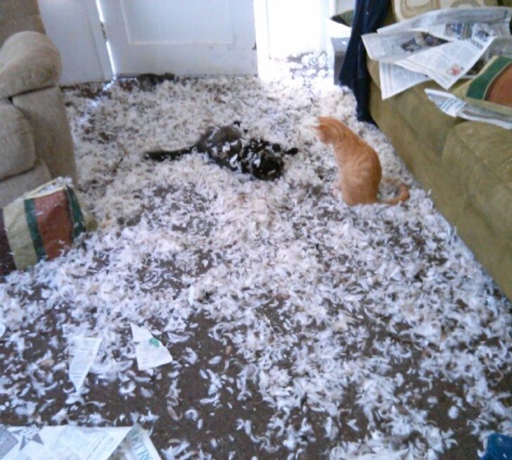 9b2db85094ac6374a04ee5d10f