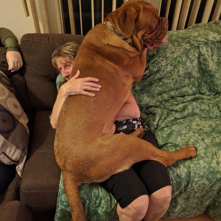 9b2e5d5ac2bcde975b0423e2be