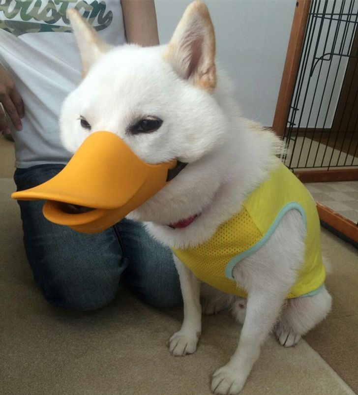 9b2f575612b30e541a1cf90076