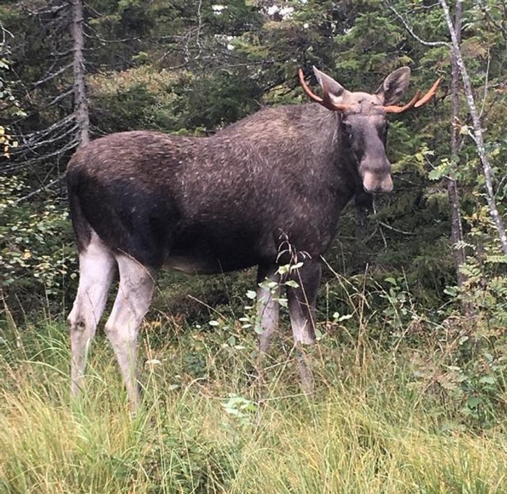 9b33935eee82df83464295289e