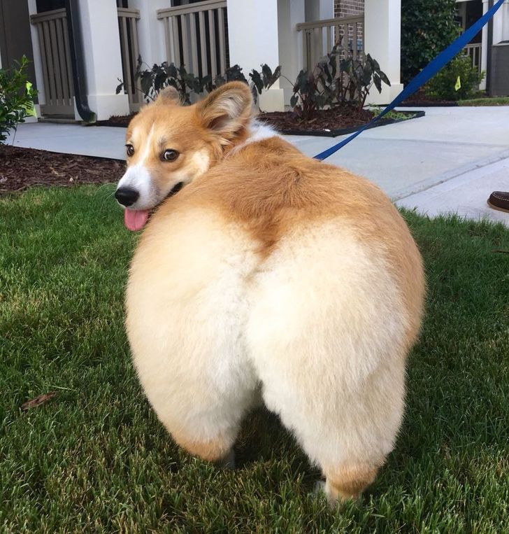 9b38fb5292915412441a01db03