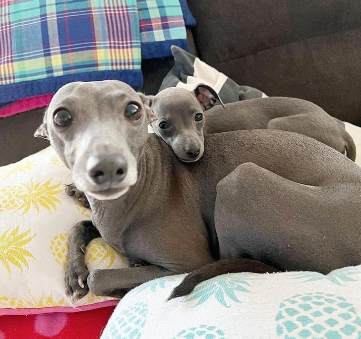 9b467a59ae9b92ee8e2a13a341 9b467a59ae9b92ee8e2a13a341