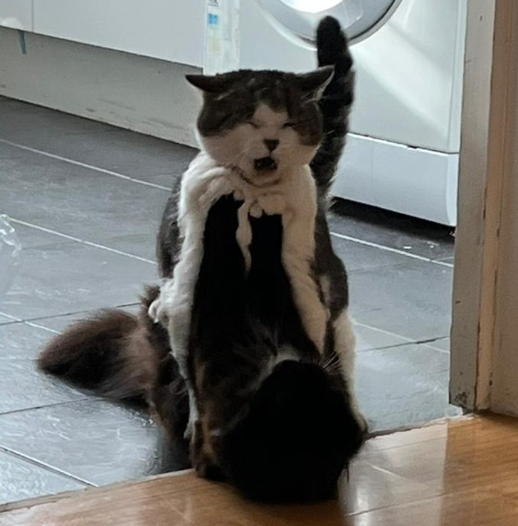 9b4acb5d0f91e0756491bc8486