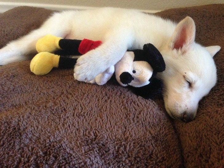 9b4d4d59839f3700509970e469