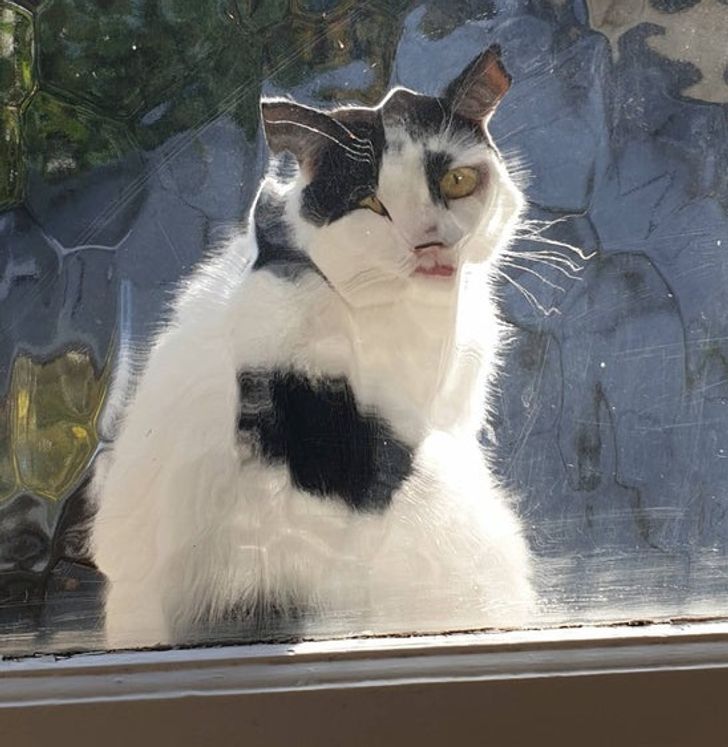 9b4f8a5a2cade9e621625dcb92