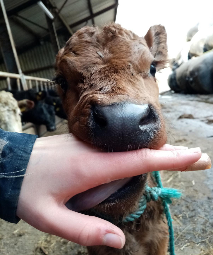 9b5807524b87a755ef33856976