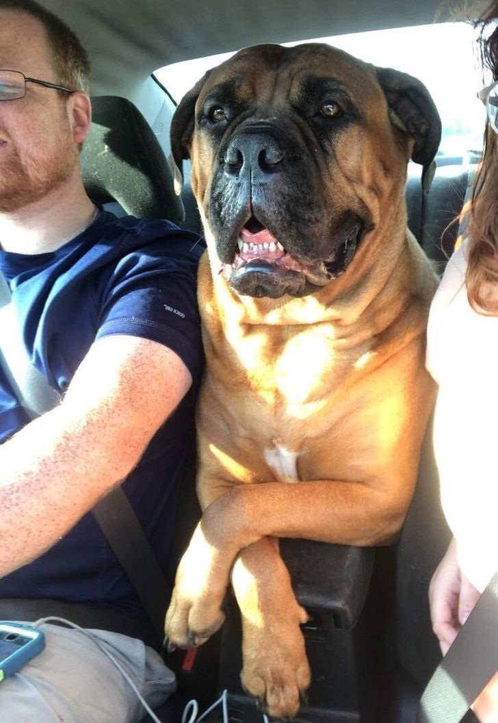 9b582b54b6ab84edab9a7a1f3a