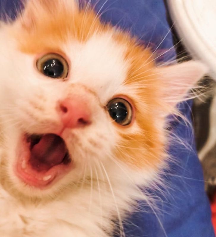 9b5b77589191cad66a24a94b85