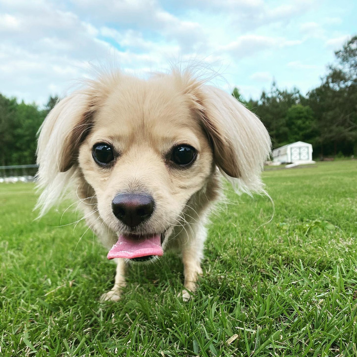 9b5bcd58ada724c2ebc15d7add