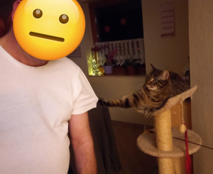 9b5eb9537baa405c449d4241d7 9b5eb9537baa405c449d4241d7