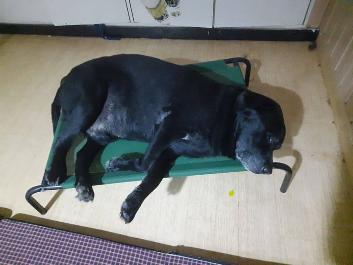 9b71f0544cb3c50f7a0e127f46