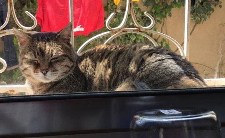 9b75c25dd6b8c0a2ed040ff480