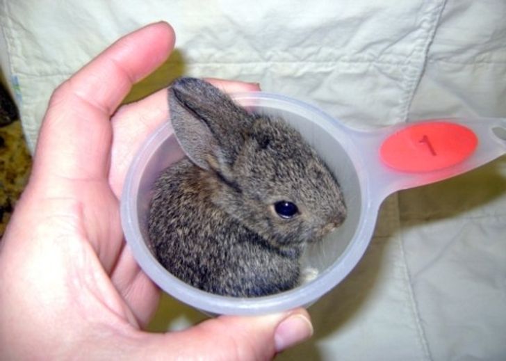 9b7627597880258d2f2e539e45