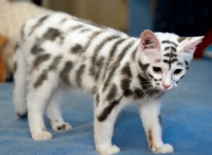 9b7f9158d596e4e707bd32959e