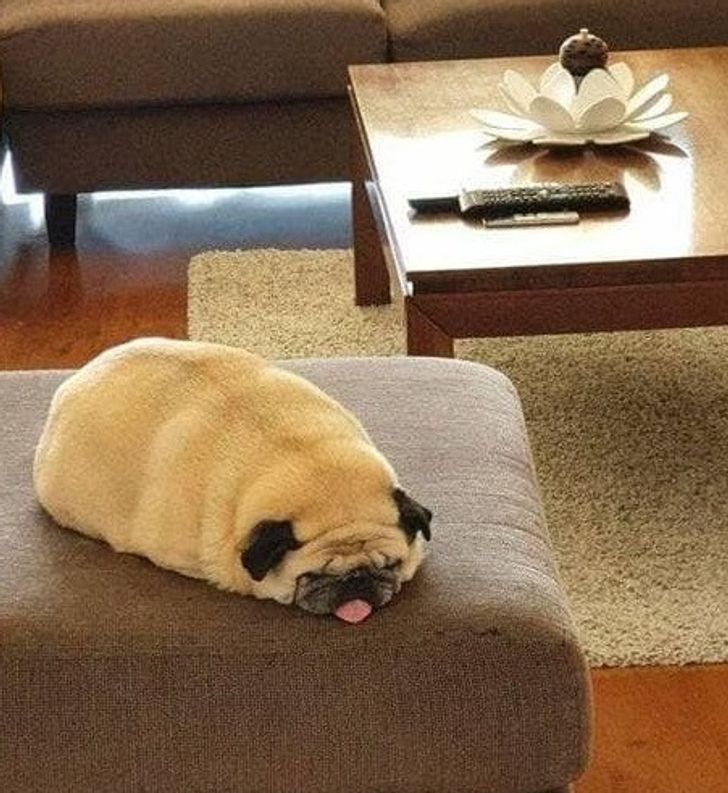 9b89ea54fab7f410da38a0e5f0