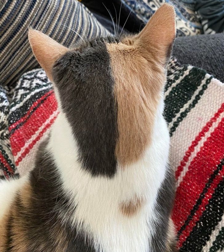 9b89ec5ad1b2eee5ca51b8c874