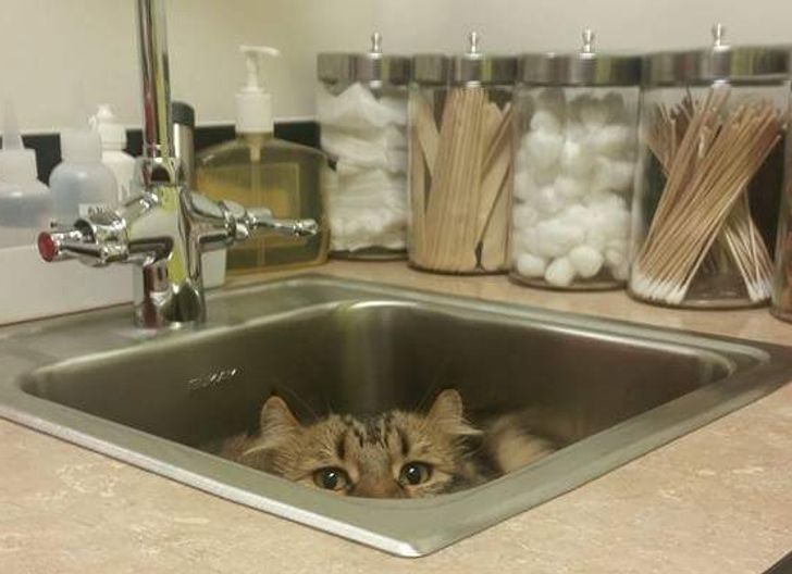 9b8f7b5b129e68f44be0b644b4