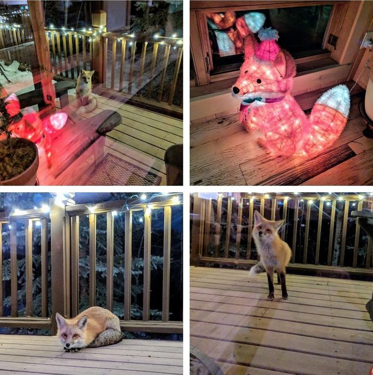 9b95a8581fbbfc5aae9b0f58a8