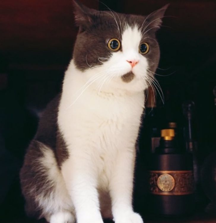 9b95fe5247b1de1681465657e0